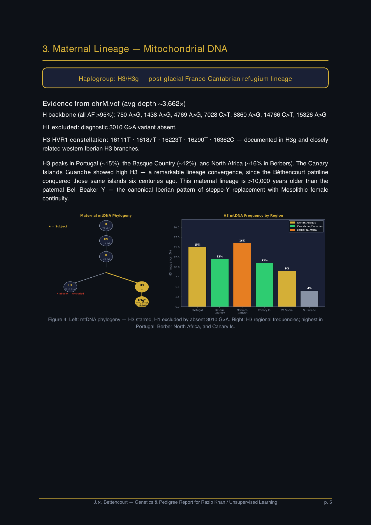 Mitochondrial haplogroup H3/H3g analysis