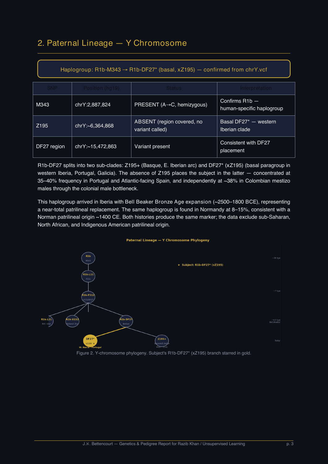 Y chromosome haplogroup R1b-DF27* — analysis page